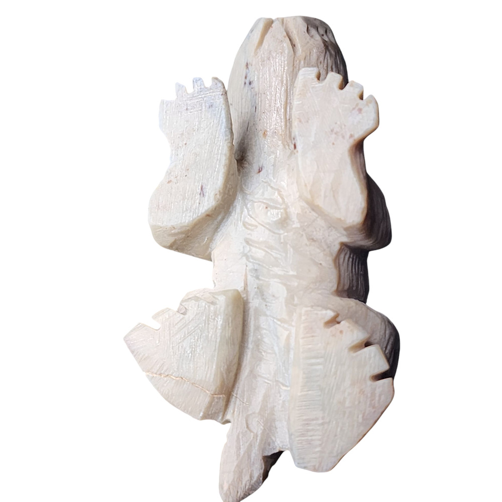 Native American Zuni Reptile Fetish Carving Turquoise Totem Southwest Art Signed - Picture 7 of 10